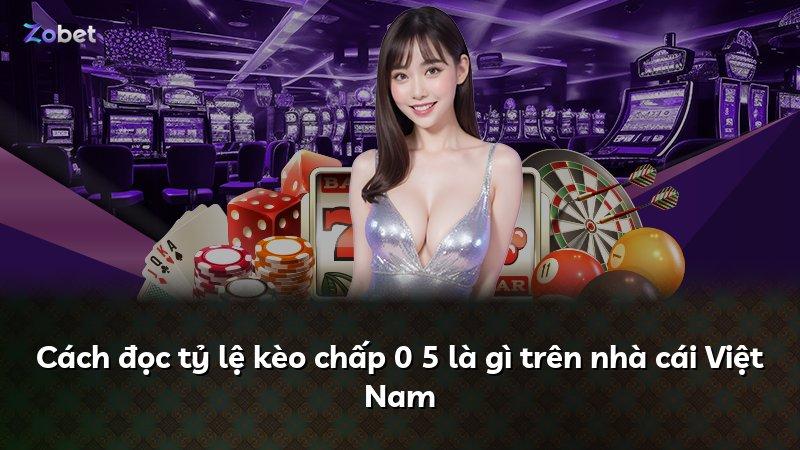 Cách đọc tỷ lệ kèo chấp 0 5 là gì trên nhà cái Việt Nam