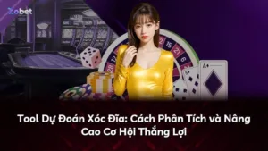 Tool Dự Đoán Xóc Đĩa: Cách Phân Tích và Nâng Cao Cơ Hội Thắng Lợi