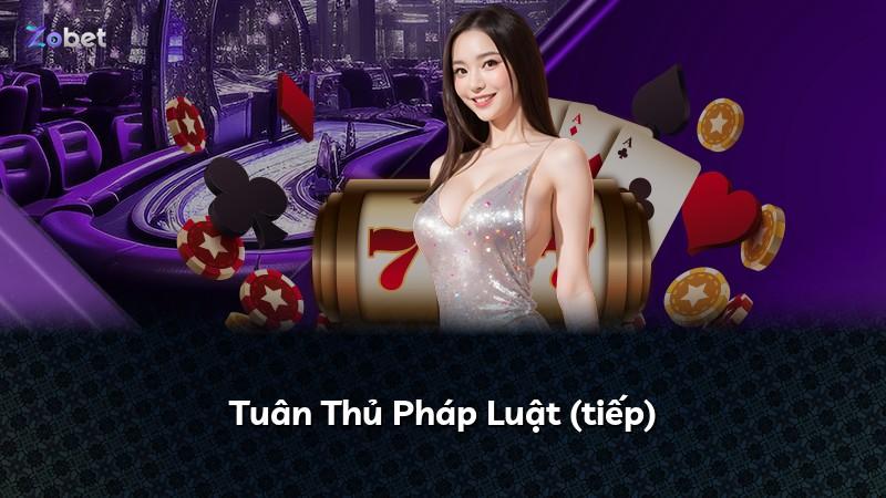 Tuân Thủ Pháp Luật (tiếp)